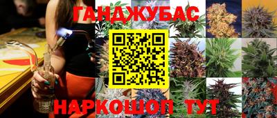 МДПВ Гатчина