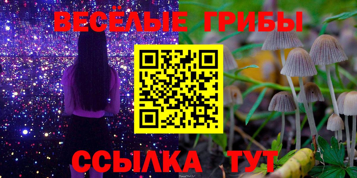 Галлюциногенные грибы GOLDEN TEACHER  Вход с VPN  Карасук 