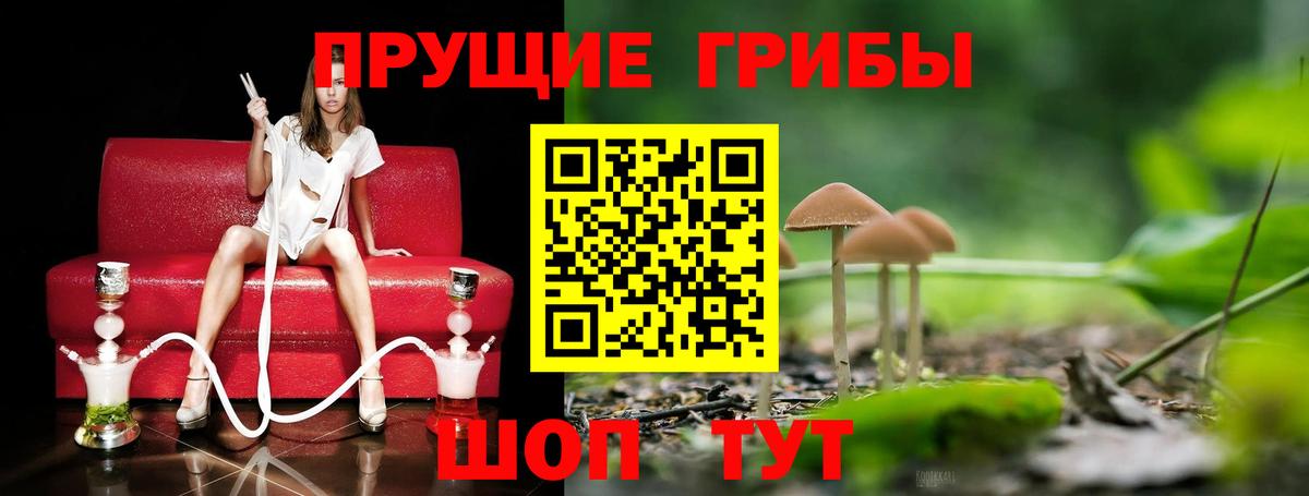Псилоцибиновые грибы Magic Shrooms Карасук